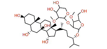 Oreasteroside D